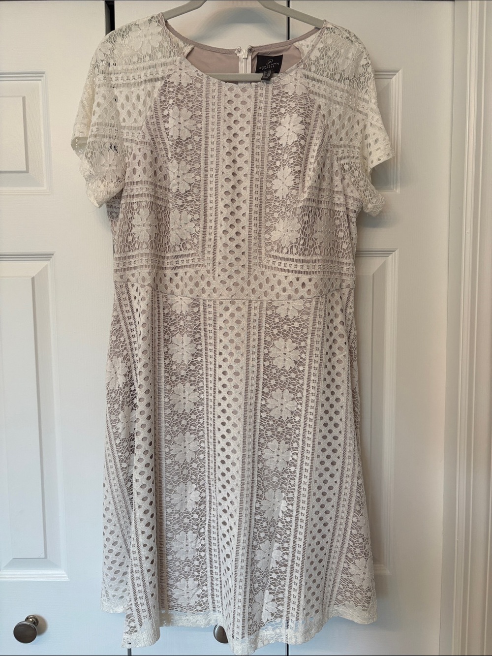 Adrianna Papell Ivory Lace Overlay Mini Dress with Taupe Lining